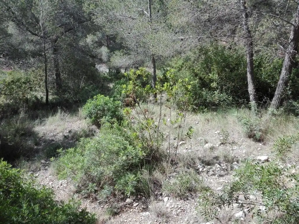 Residential land for sale in Costa Cunit - Els Jardins - Els Rosers, imagen 5