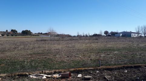 Tierra secano con edificaciones industriales. Superficie terreno 1Ha., immagine 4