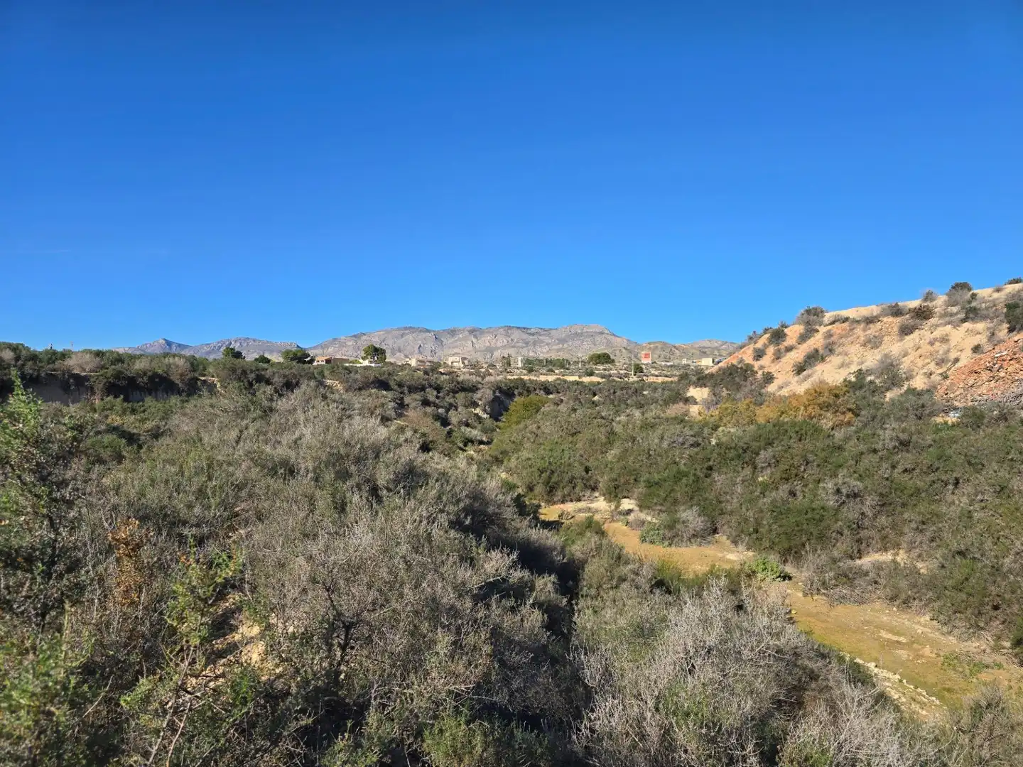 Industrial land for sale in Crevillent, imagen 14