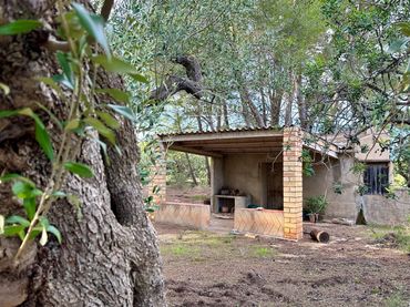 Terreny rústic en venda a El Perelló