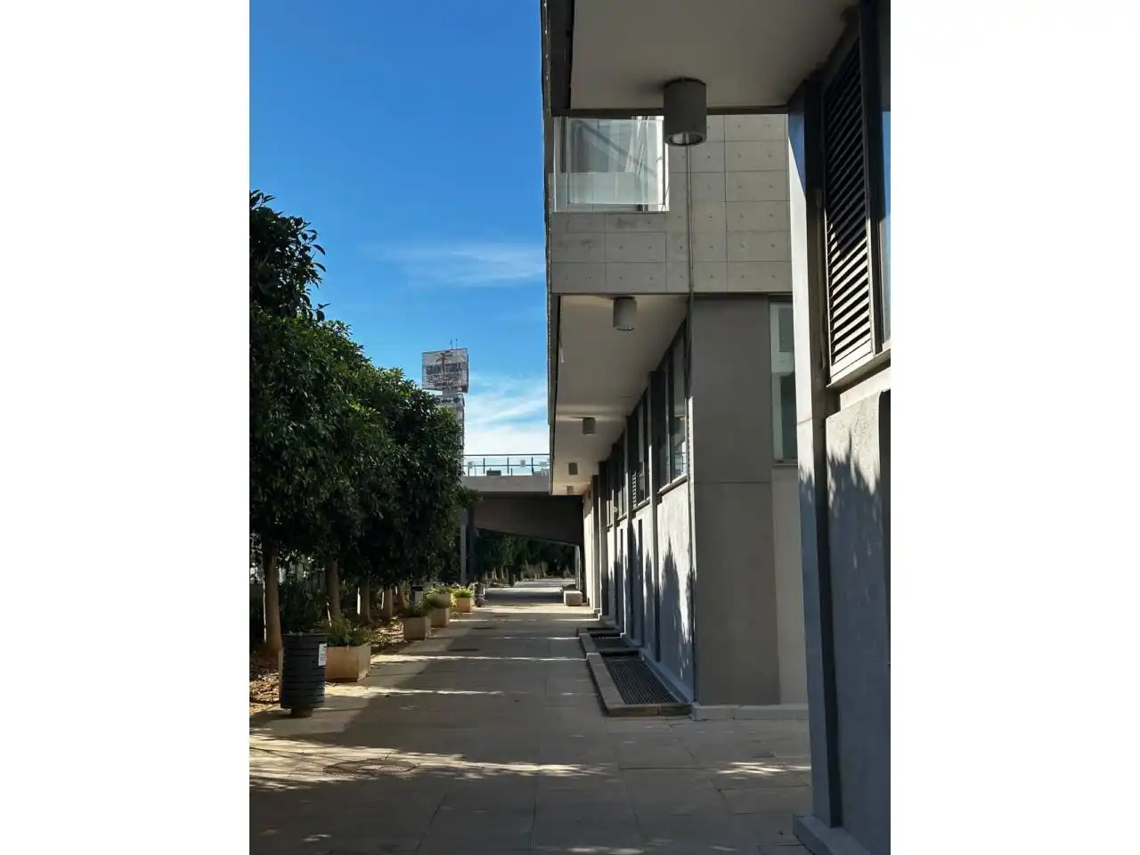 Gewerbefläche zum Verkauf in Calle Andarella, imagen 4