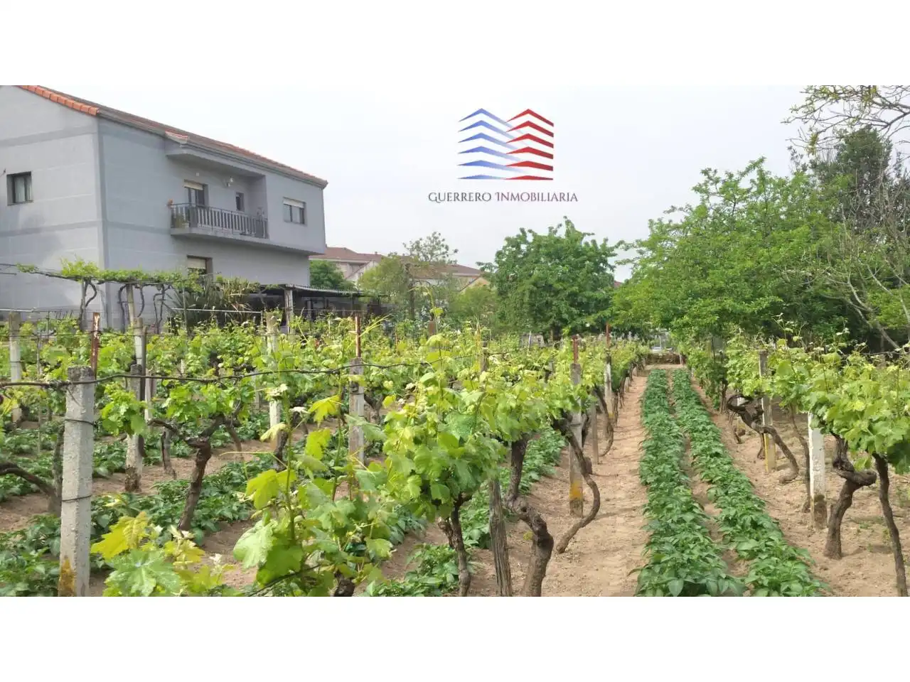 Houses for sale in Ourense Capital   with Heating, Private garden and Terrace