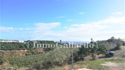 Foto 5 de Finca rústica en venda a Hispanidad - Vivar Téllez, Vélez-Málaga