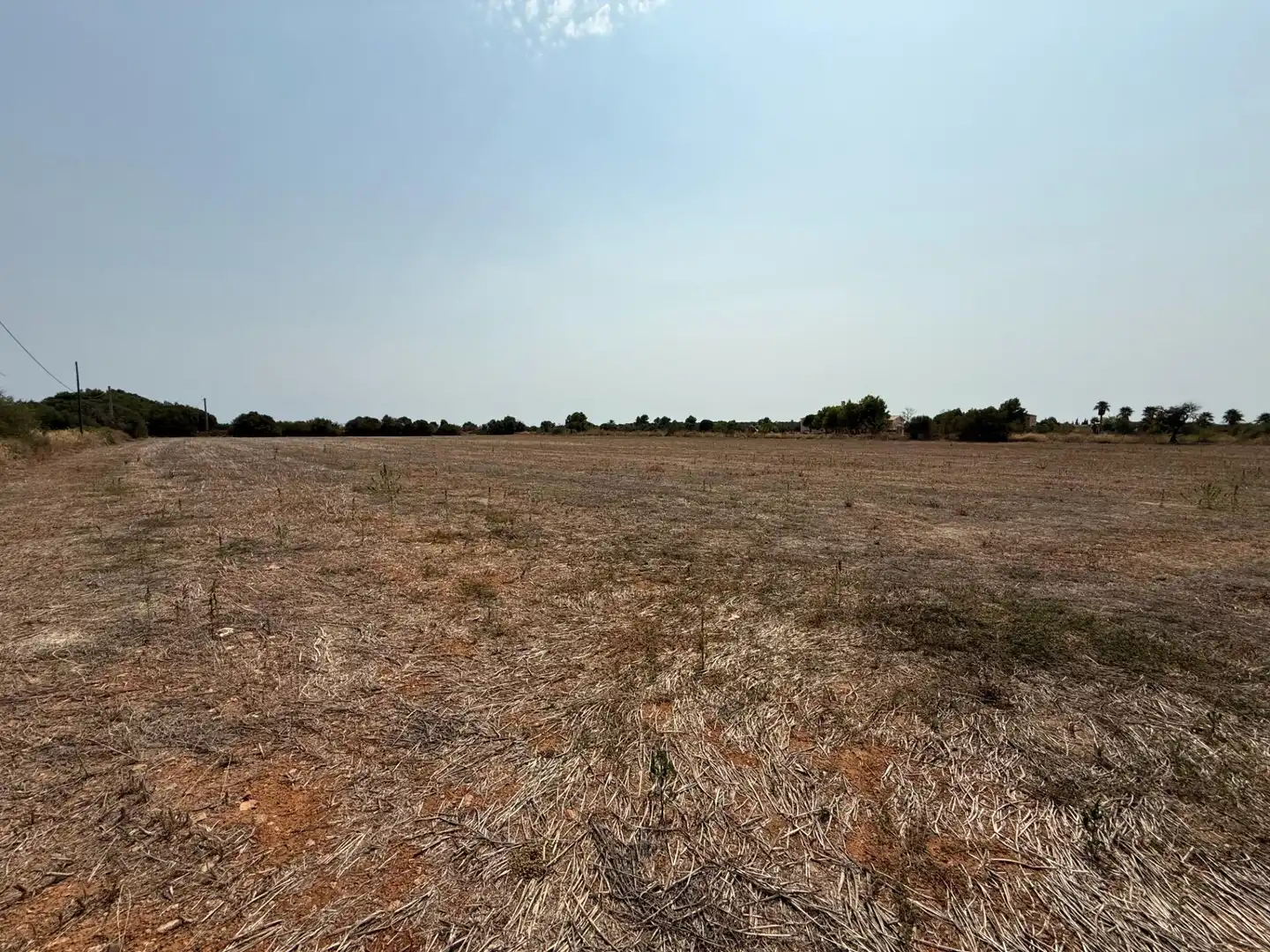 Grundstücke und Bauplätze zum Verkauf in Campos poble