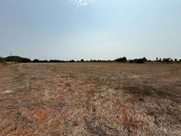 Terrenos y solares en venta en Campos poble