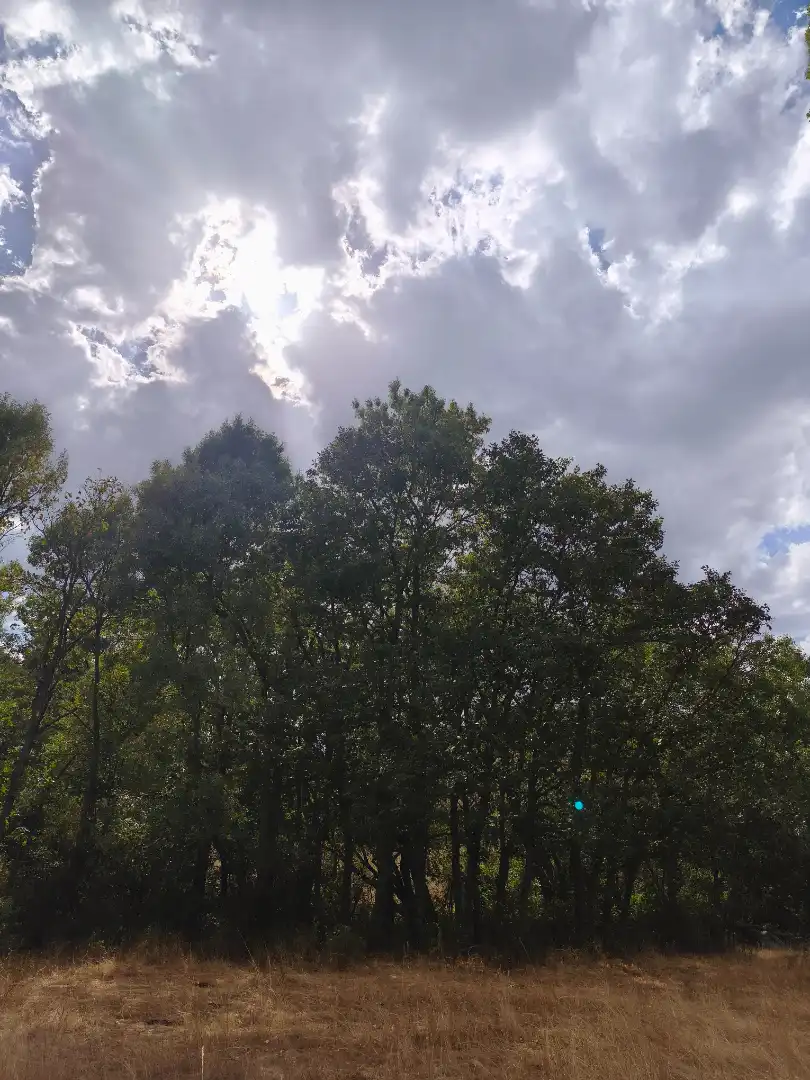 Jardín de Terreno en venta en Piñuécar-Gandullas