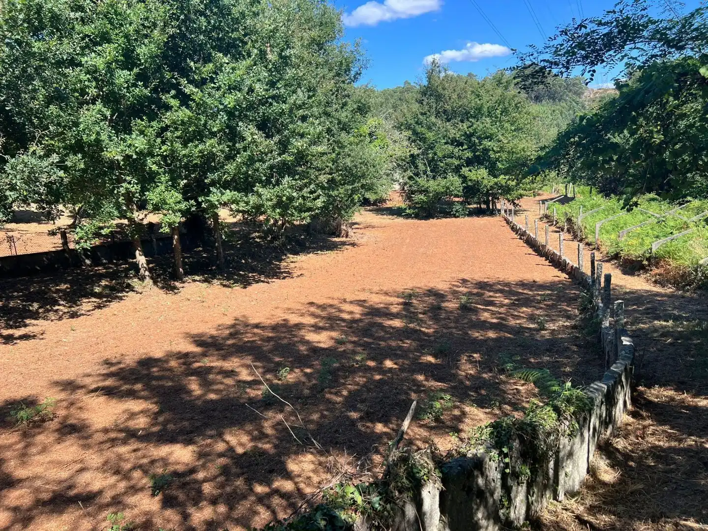 Maison à vendre à Lugar Barreras, imagen 7