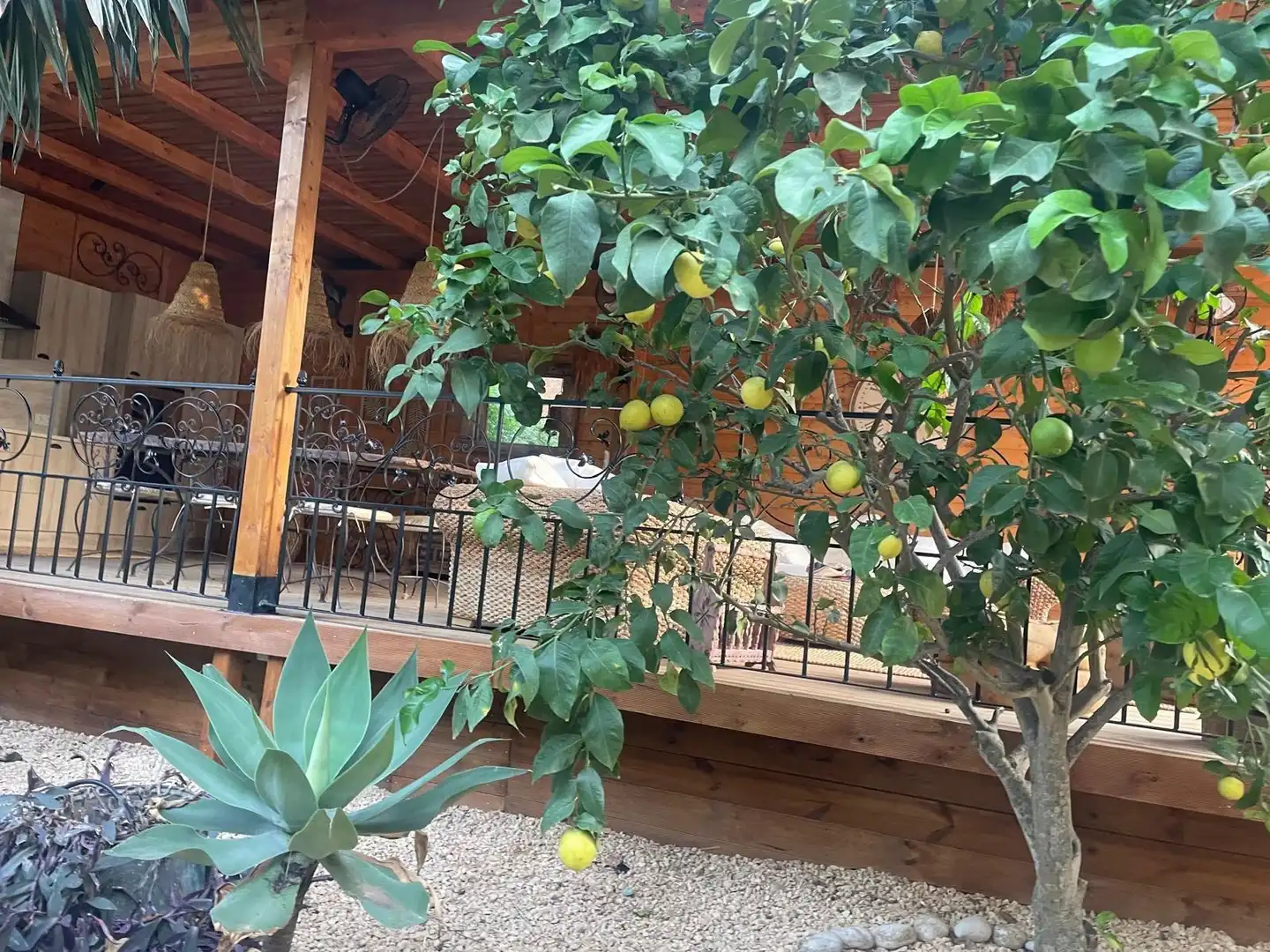 Terrassa de Casa o xalet de lloguer en L'Alfàs del Pi amb Aire condicionat, Jardí privat i Terrassa