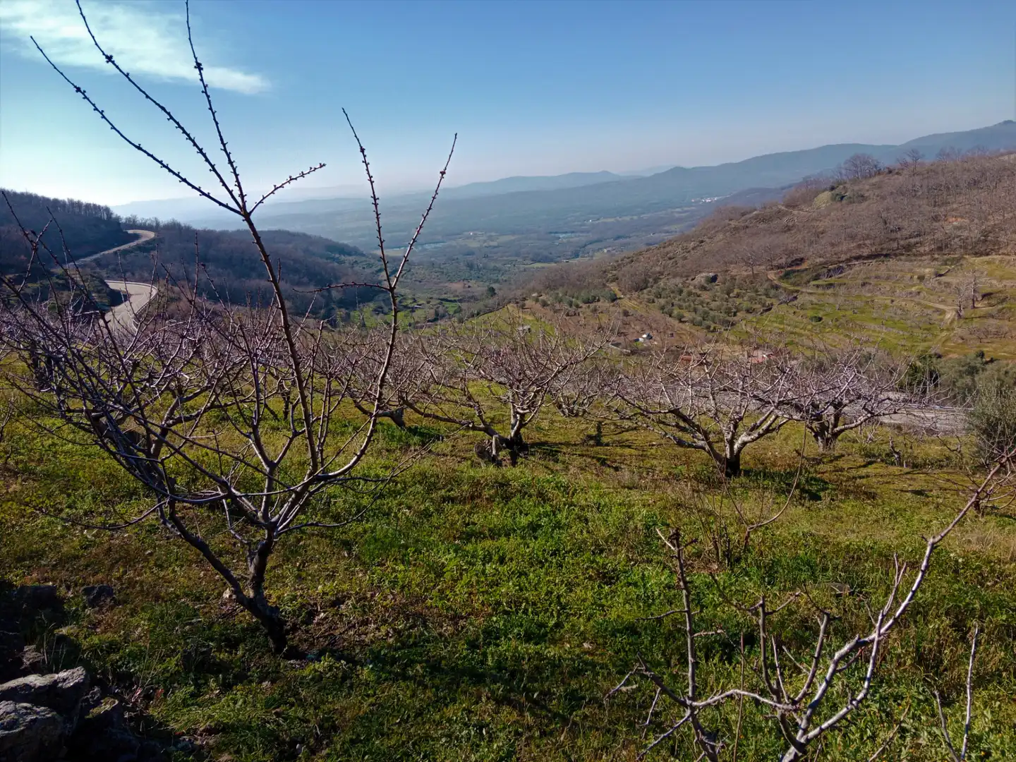 Terreni e lotti in vendita a Barrado, imagen 5