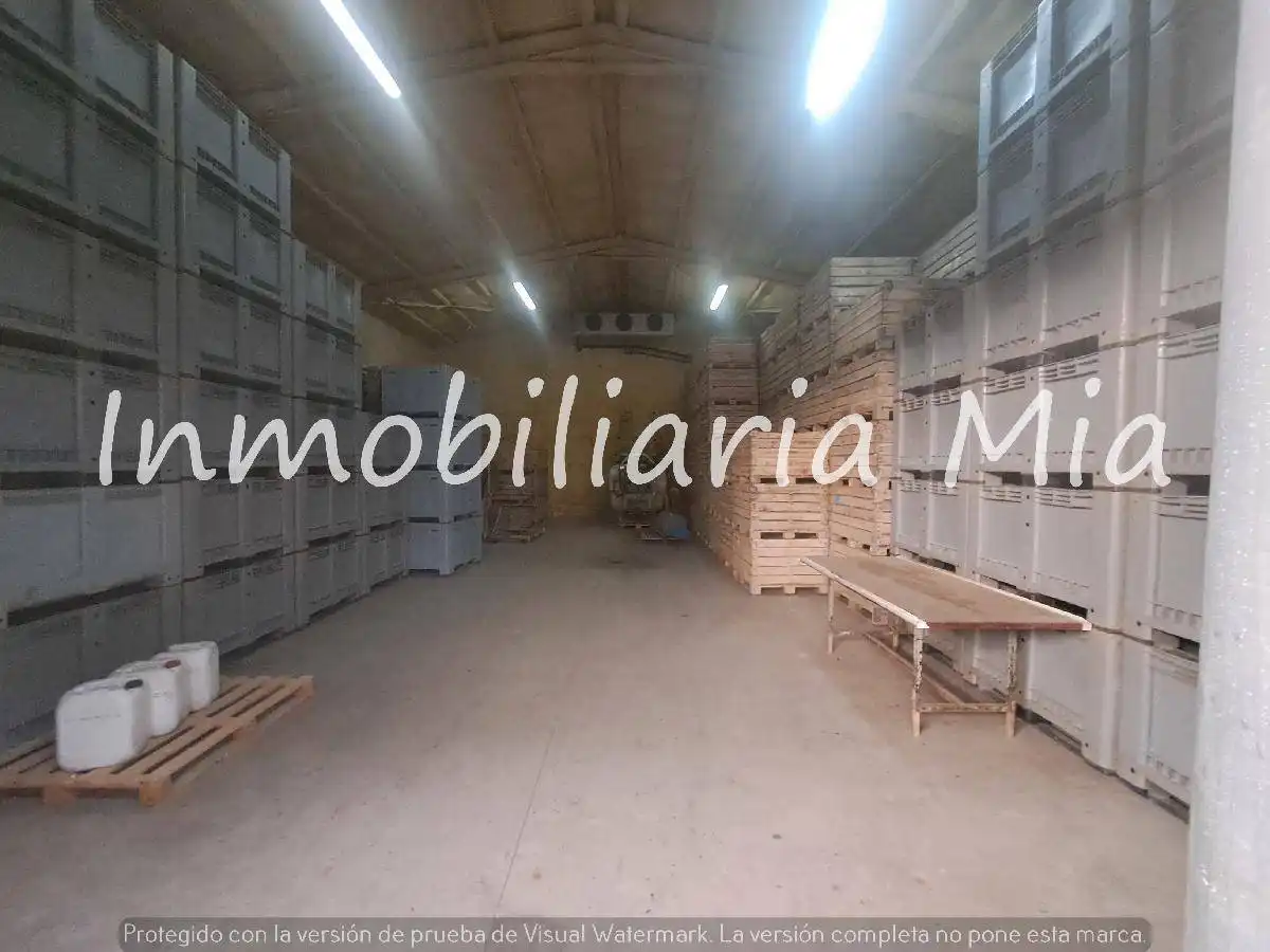 Houses for sale in Zarzalico