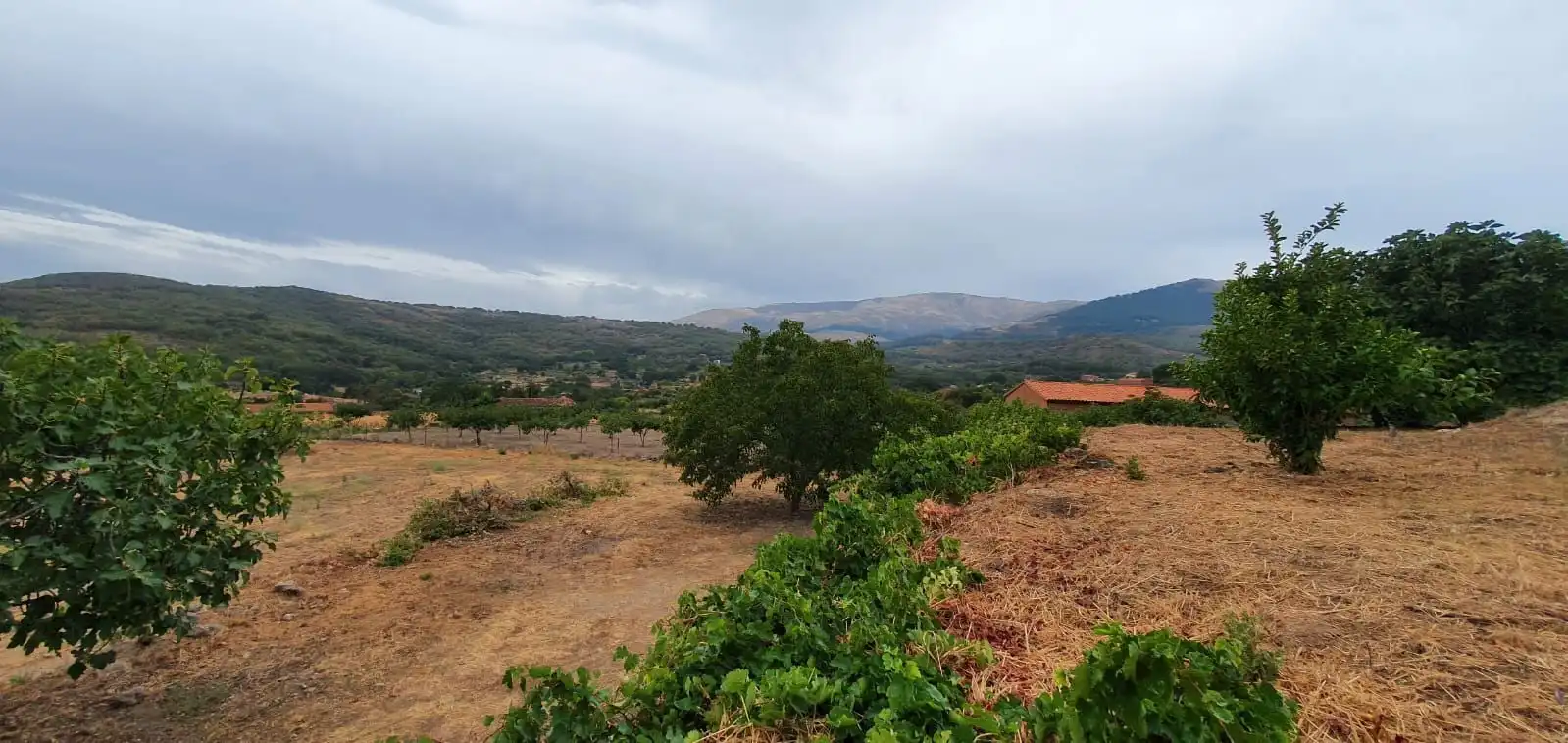 Terreni e lotti in vendita a Jarandilla de la Vera, imagen 16