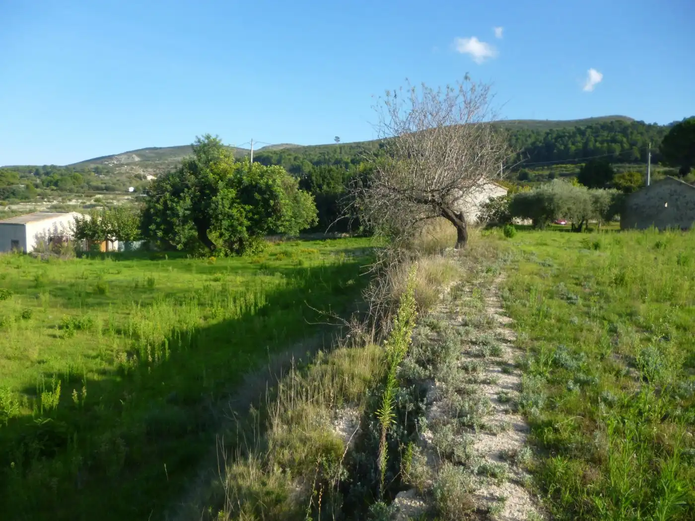 Terreny residencial en venda a Sant Josep - Zona Hospital, imagen 5