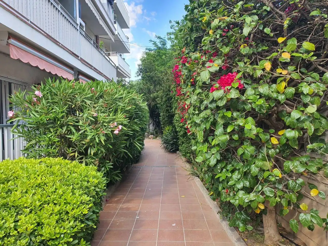 Apartments for sale in Calle Alexandre de Cabanyes, Ribes Roges