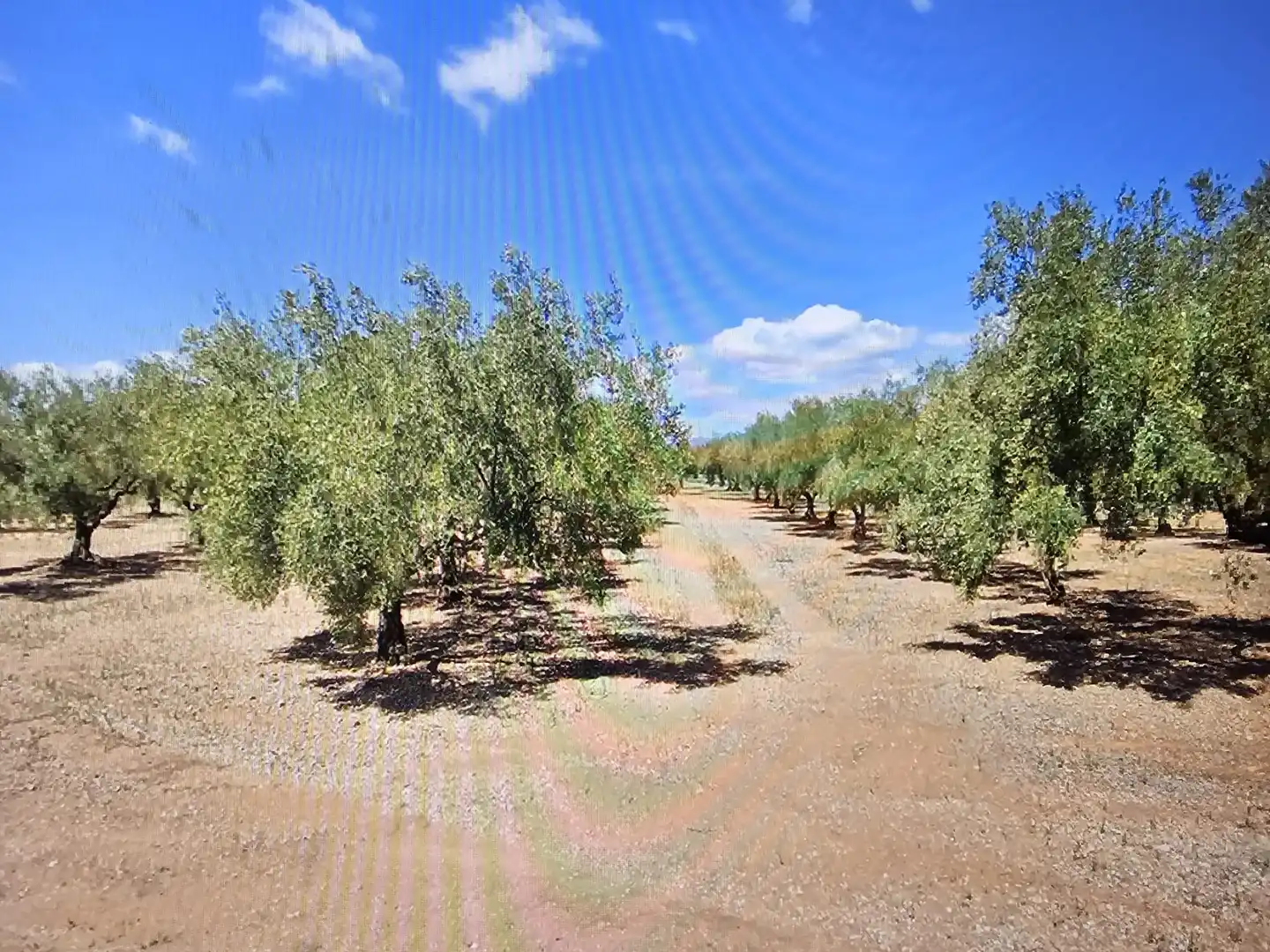 Rural land for sale in Godall, imagen 3