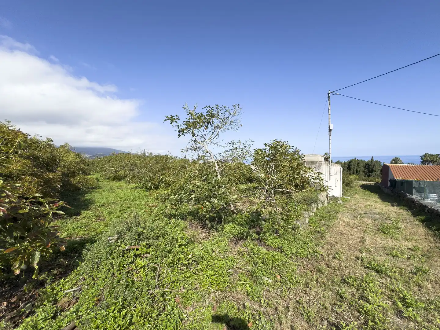 Land for sale in La Orotava