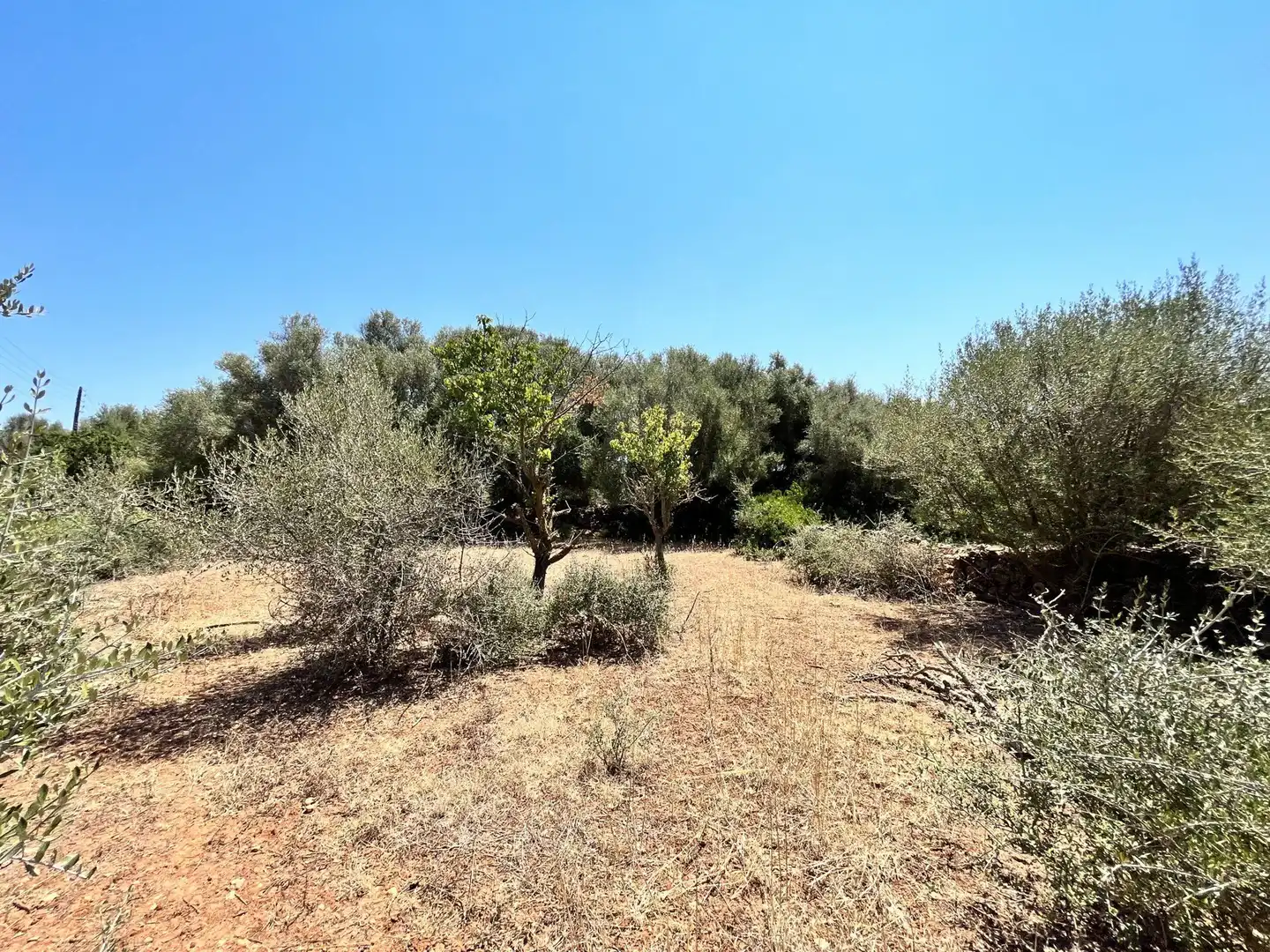 Landhaus mit Pool zum Verkauf in Cala d'en Bosch - Serpentona, imagen 24