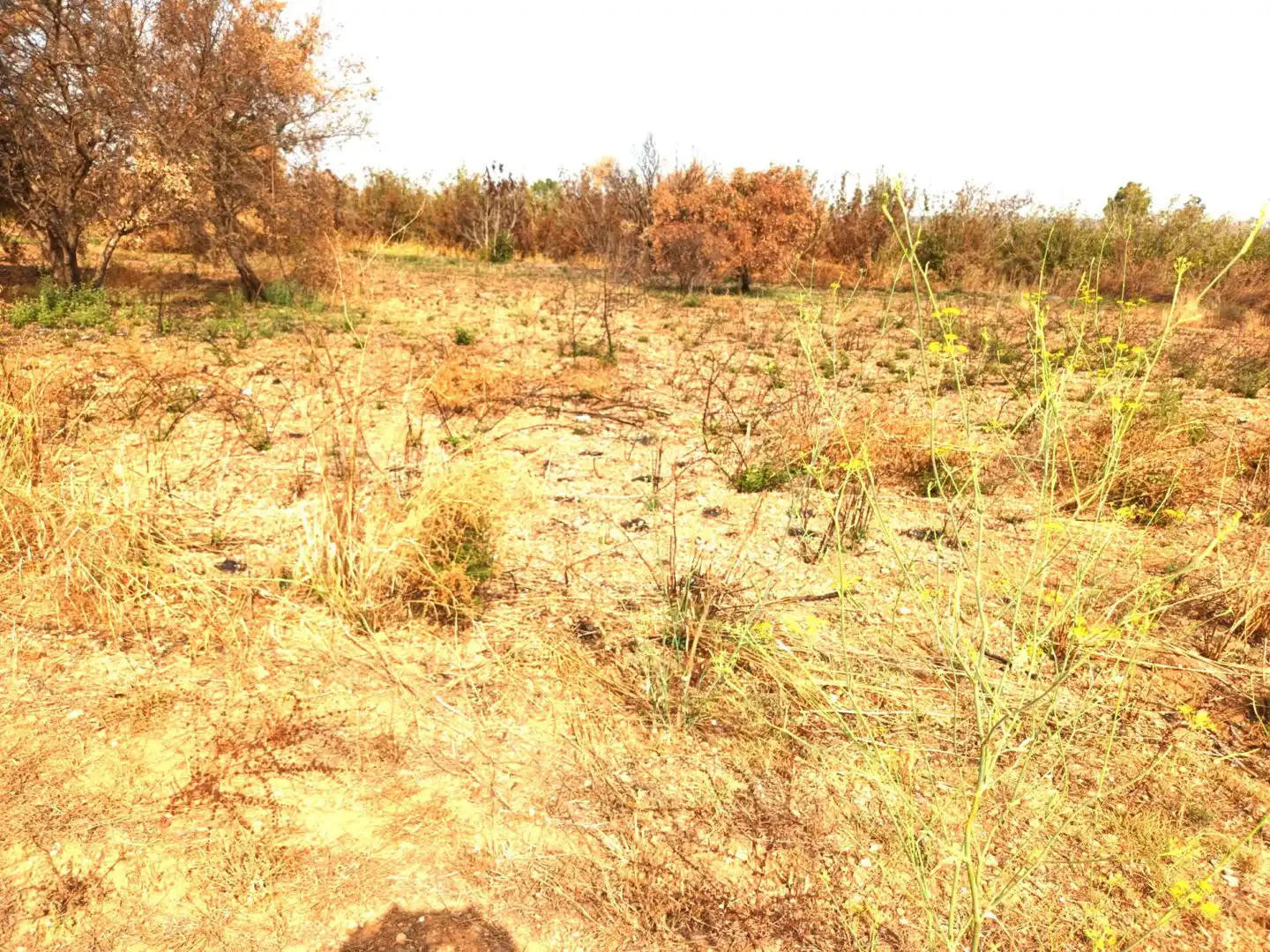 Country house for sale in Constantí, imagen 10