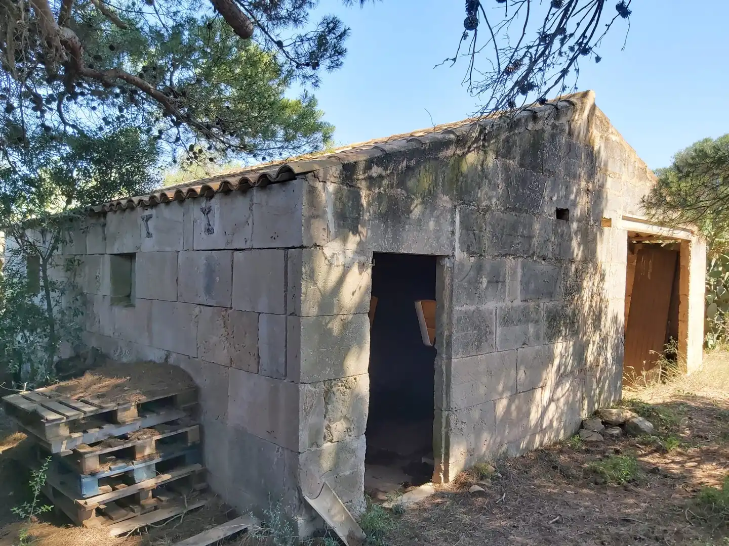 Vista exterior de Finca rústica en venta en Campos