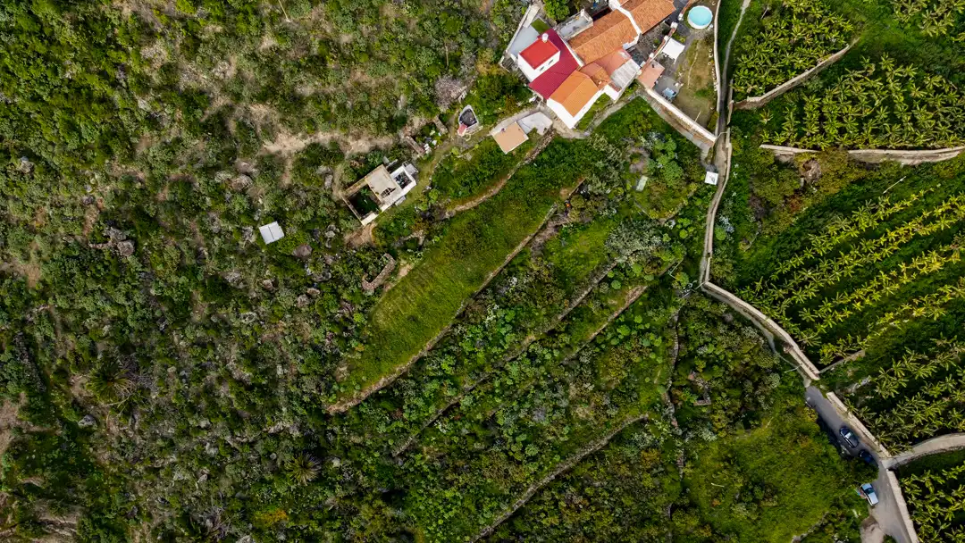 Finca rústica en venta en Moya (Las Palmas)