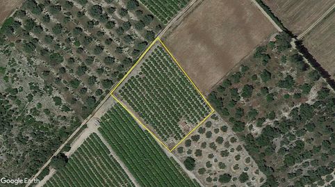 FINCA DE CITRICOS CON ALMACEN, immagine 2