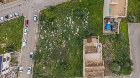 Photo 3 of Land for sale in Sant Llorenç des Cardassar, Illes Balears