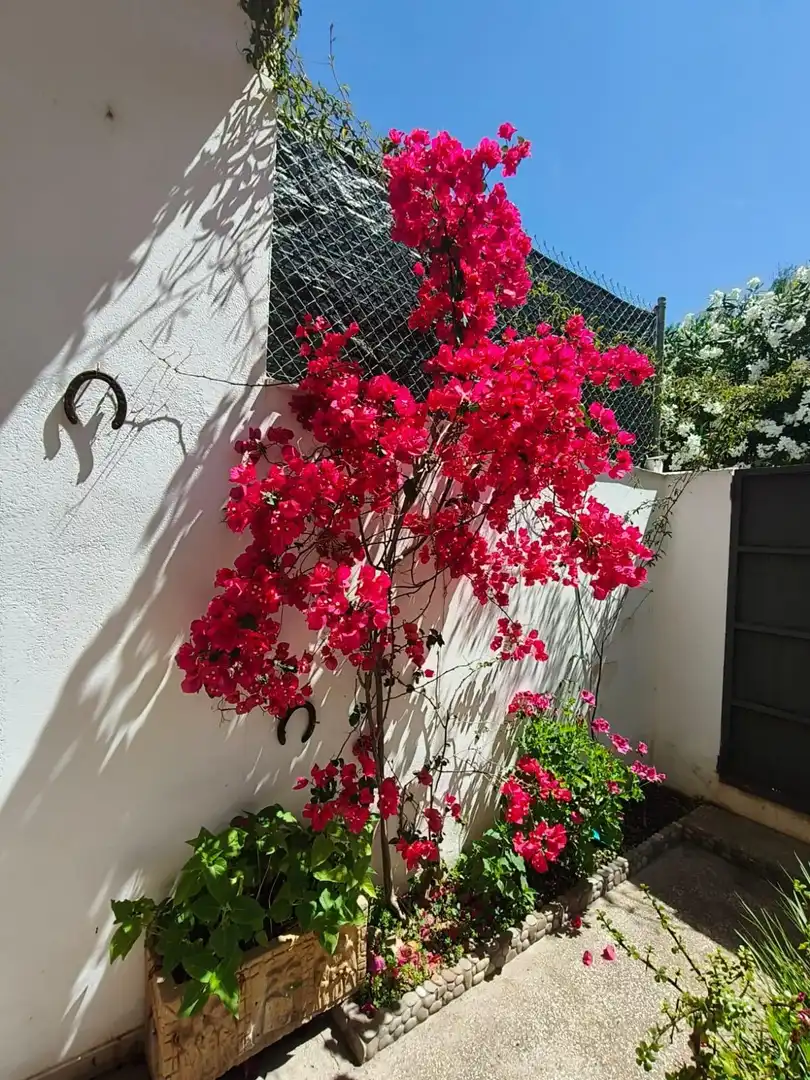 Jardín de Piso en venta en Olesa de Montserrat con Terraza