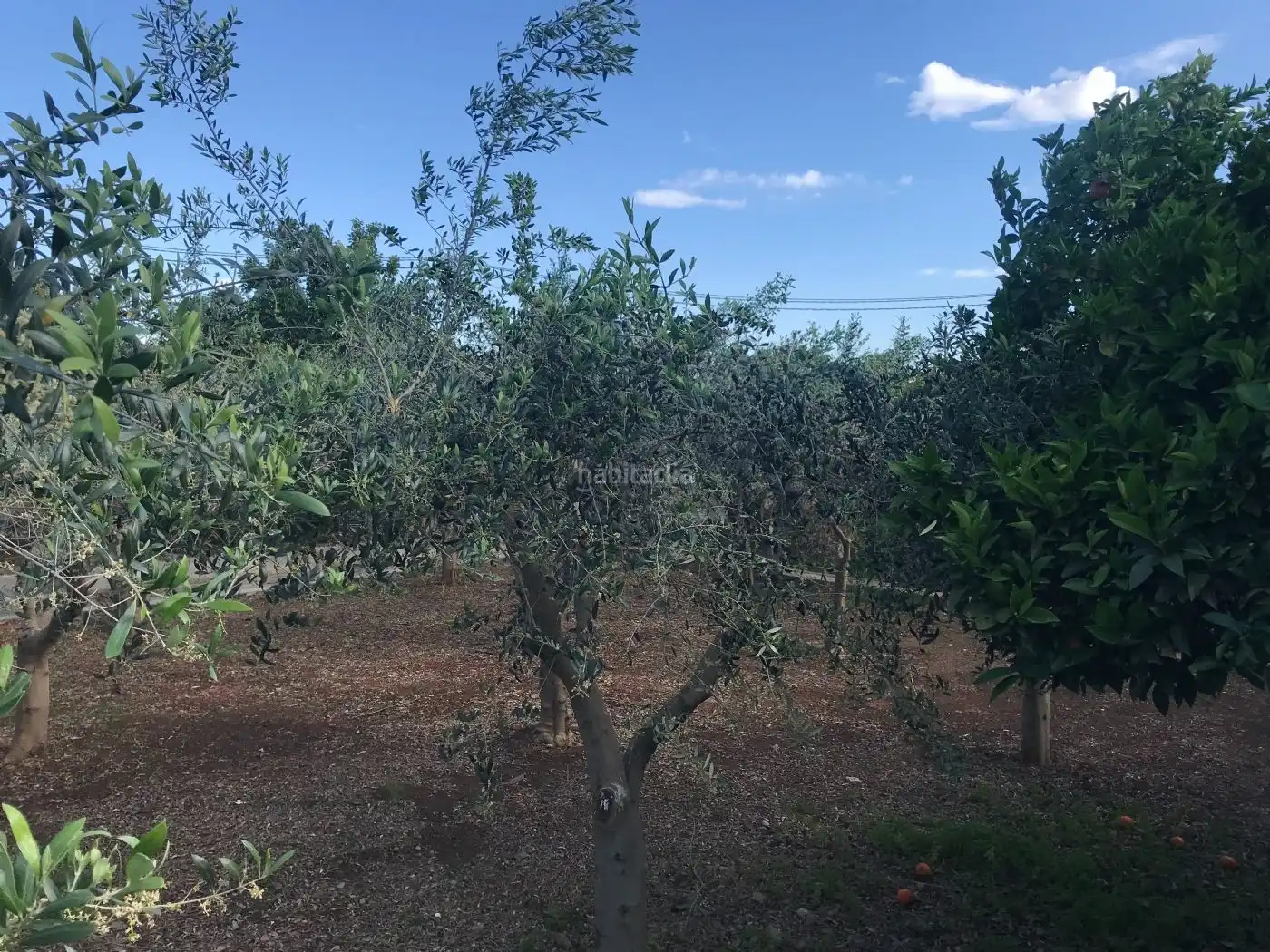 Terreno residencial en venta en Partida Collet 23, imagen 5
