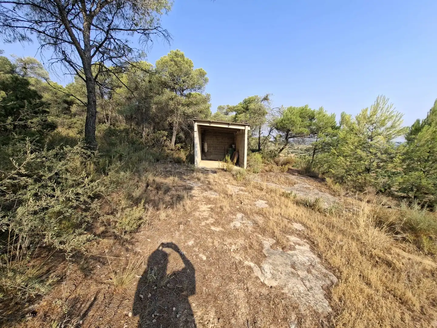 Terreno en venta en Nonaspe