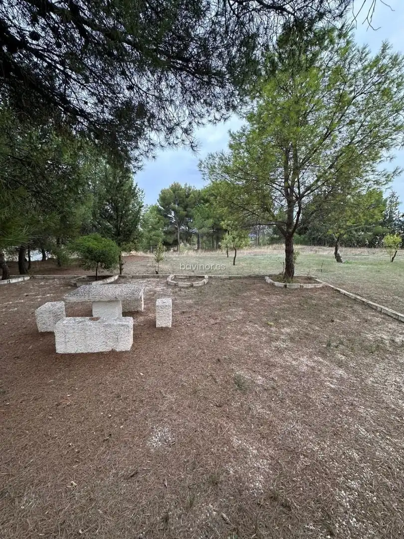 Chalet con jardín en venta en Aledo, imagen 16