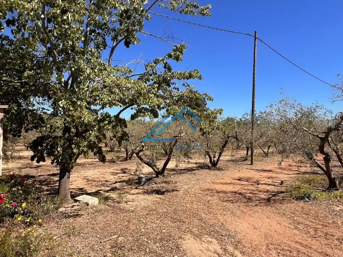 Land for sale in Vinyols i els Arcs