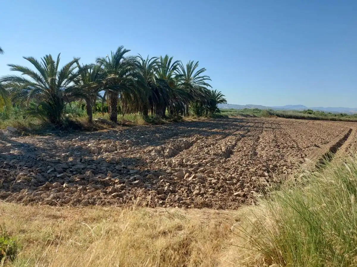 Residencial en venta en Catral