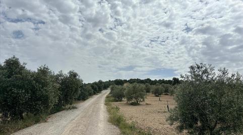 Foto 2 de Residencial en venta en De la Doctora, Alameda, Málaga