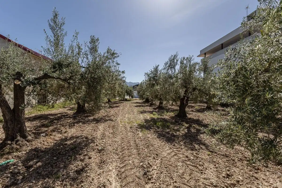 Residential for sale in Gójar