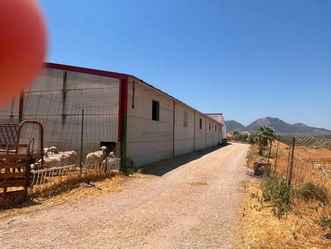 Vista exterior de Finca rústica en venda en El Saucejo amb Aire condicionat, Calefacció i Moblat