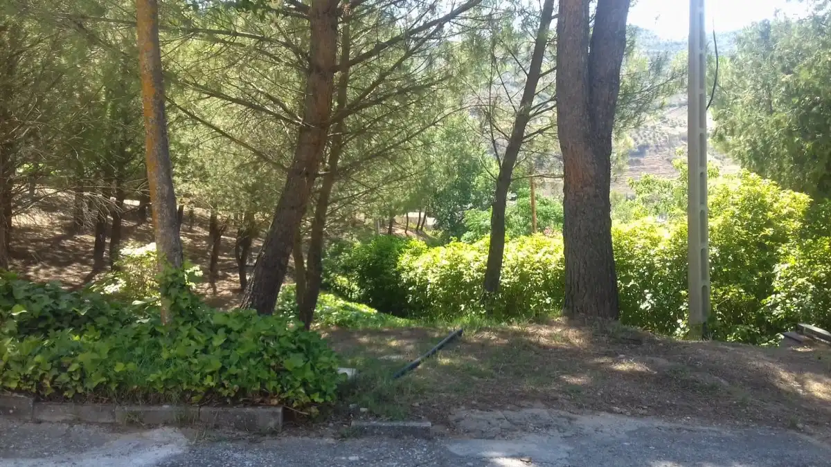 Garden of Residential for sale in Loranca de Tajuña