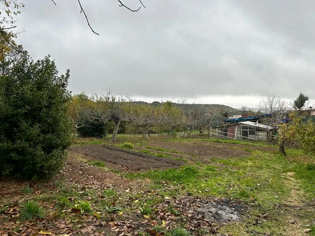 Casa o chalet en venta en Loranca de Tajuña con Aire acondicionado, Calefacción y Jardín privado