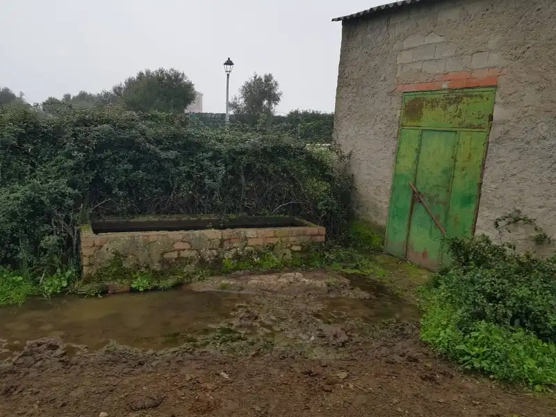 Terreni e lotti in vendita a Oliva de Plasencia, imagen 5