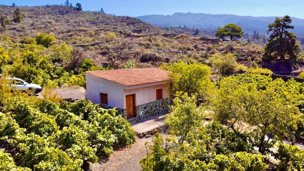 Exterior view of House or chalet for sale in Guía de Isora  with Private garden