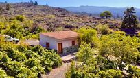 Vista exterior de Casa o xalet en venda en Guía de Isora amb Jardí privat