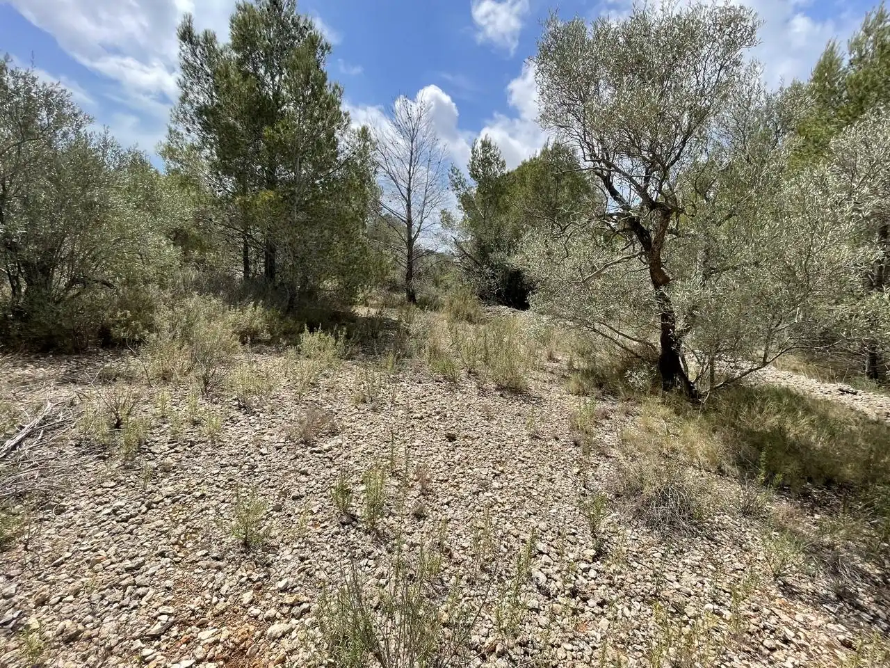 Terreni e lotti in vendita a barrera, imagen 6