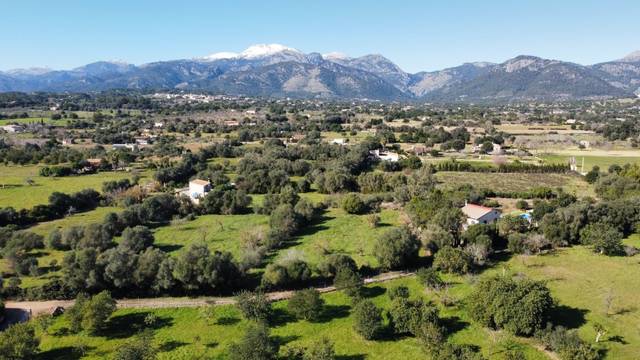 Terreno en Venta en Selva