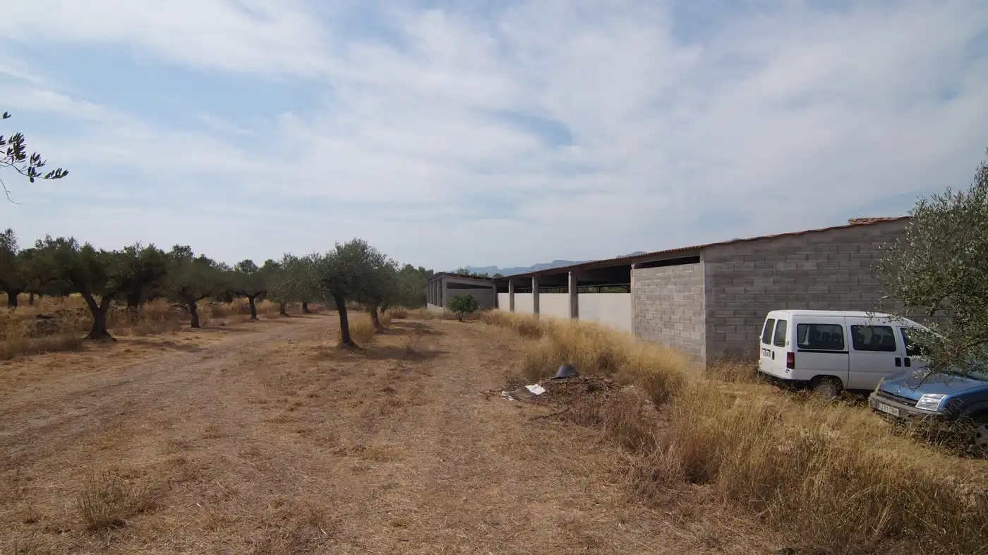 Casa rustica con terrazza in vendita a Tivissa, imagen 39