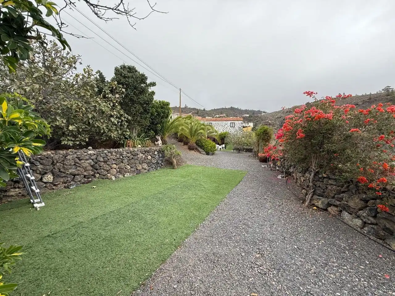 Jardín de Casa o chalet en venta en Guía de Isora