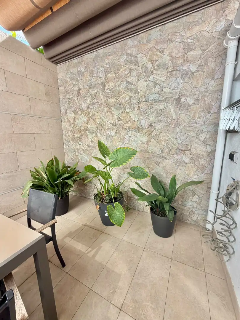 Casa in vendita a Calle Pintor Fausto Olivares, imagen 29