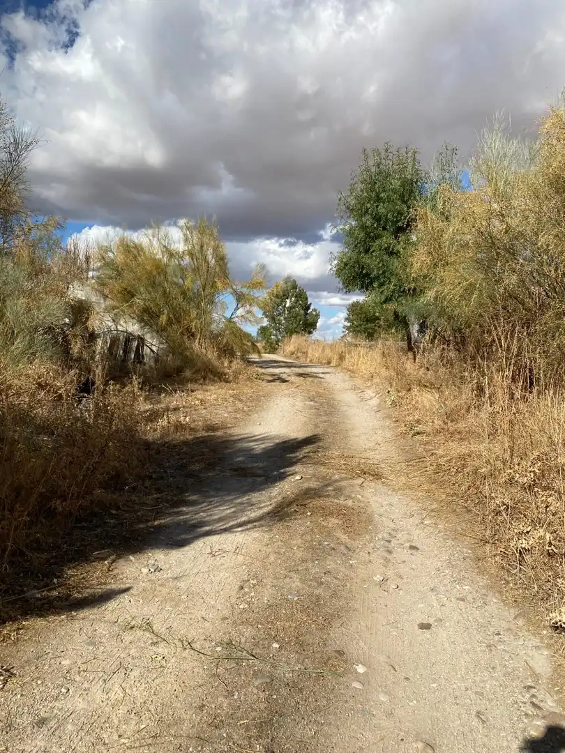 Vista exterior de Finca rústica en venda en Valoria la Buena amb Jardí privat i Piscina