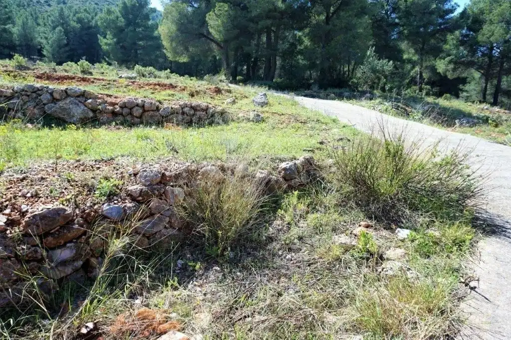 Terreny residencial en venda a Callosa d'en Sarrià, imagen 15