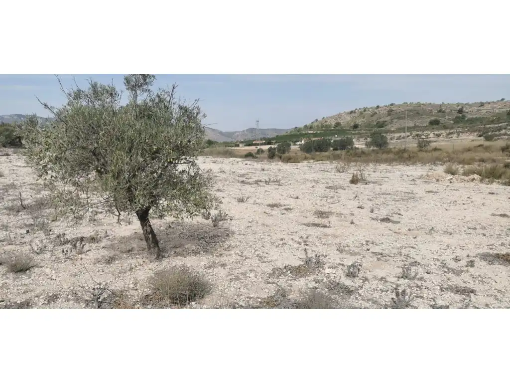 Terreno residenziale in vendita a Salinas, imagen 24