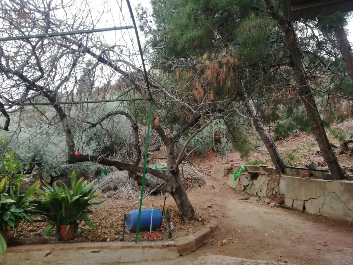 Casa o chalet en venta en Lorca con Jardín privado, Trastero y Amueblado