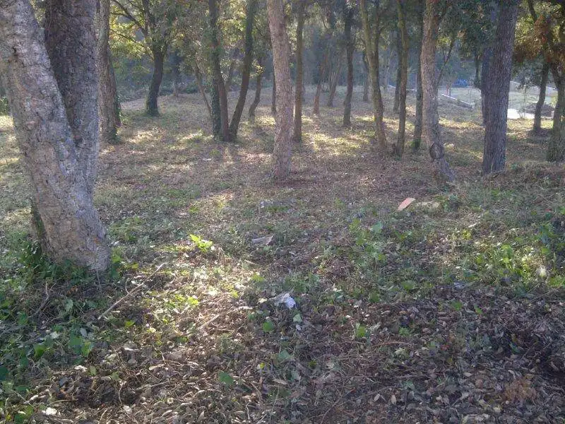 Wohnbaugrundstück zum Verkauf in Terrabrava - Tordera Parc, imagen 17