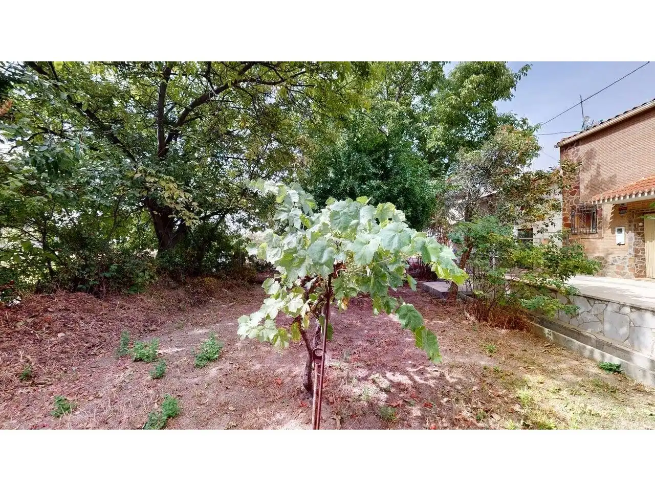 Casa con jardín en venta en Caravaca de la Cruz, imagen 30